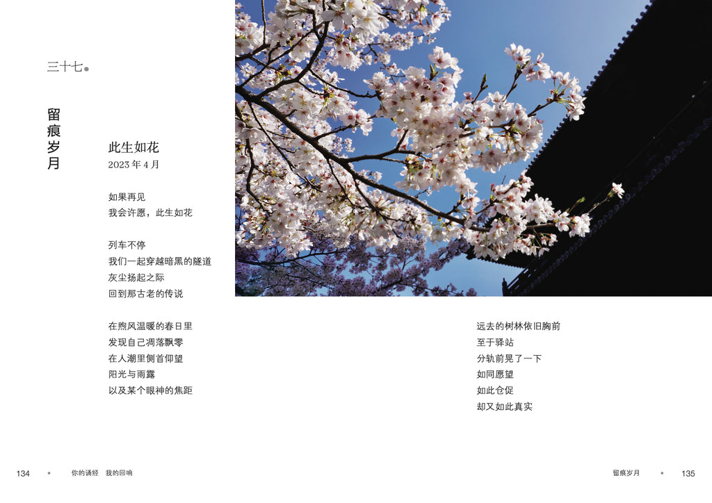 你的诵经 我的回响