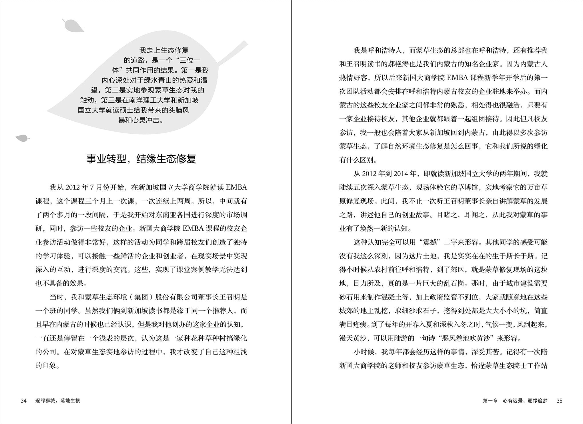 逐绿狮城，落地生根-逐梦企业系列 1（平装）