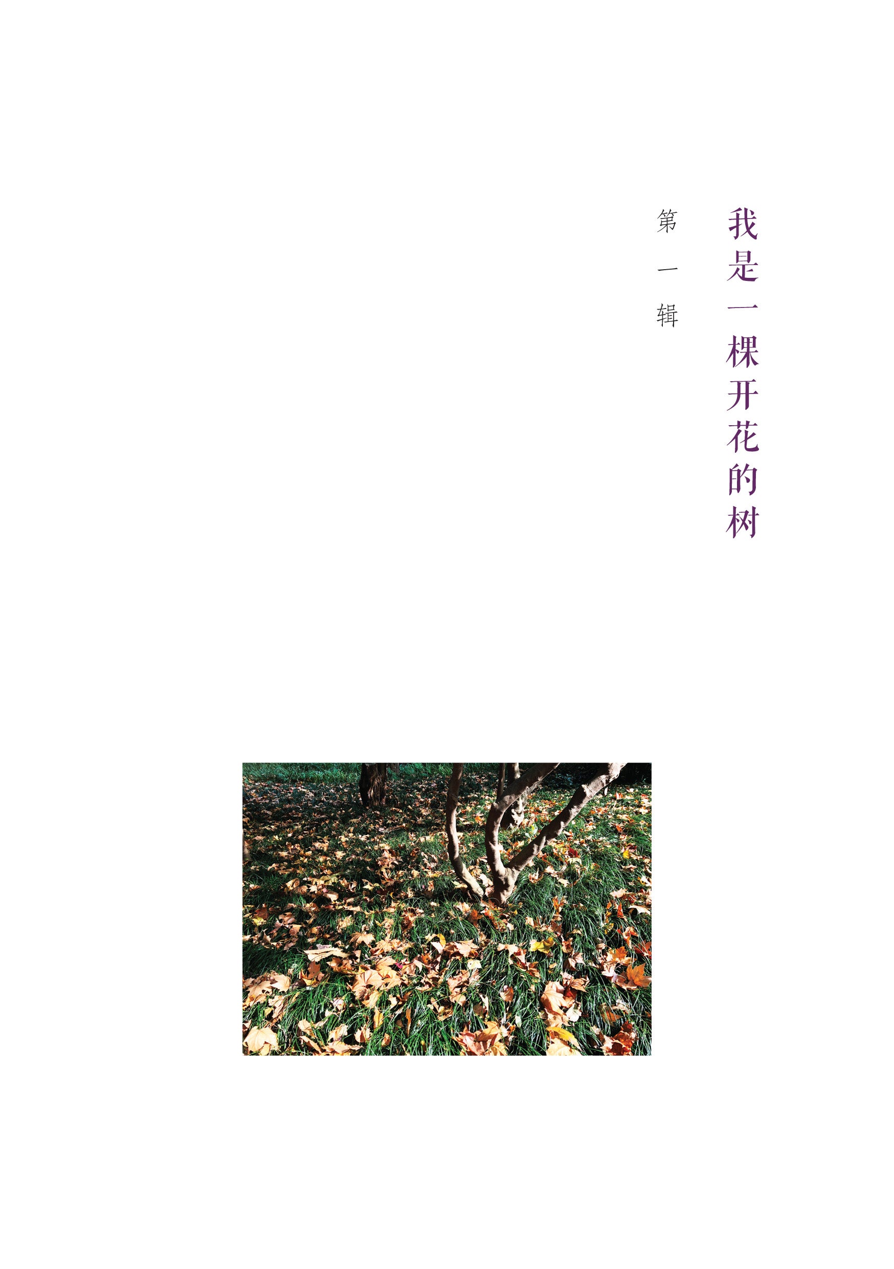 《如果还有萤火虫》