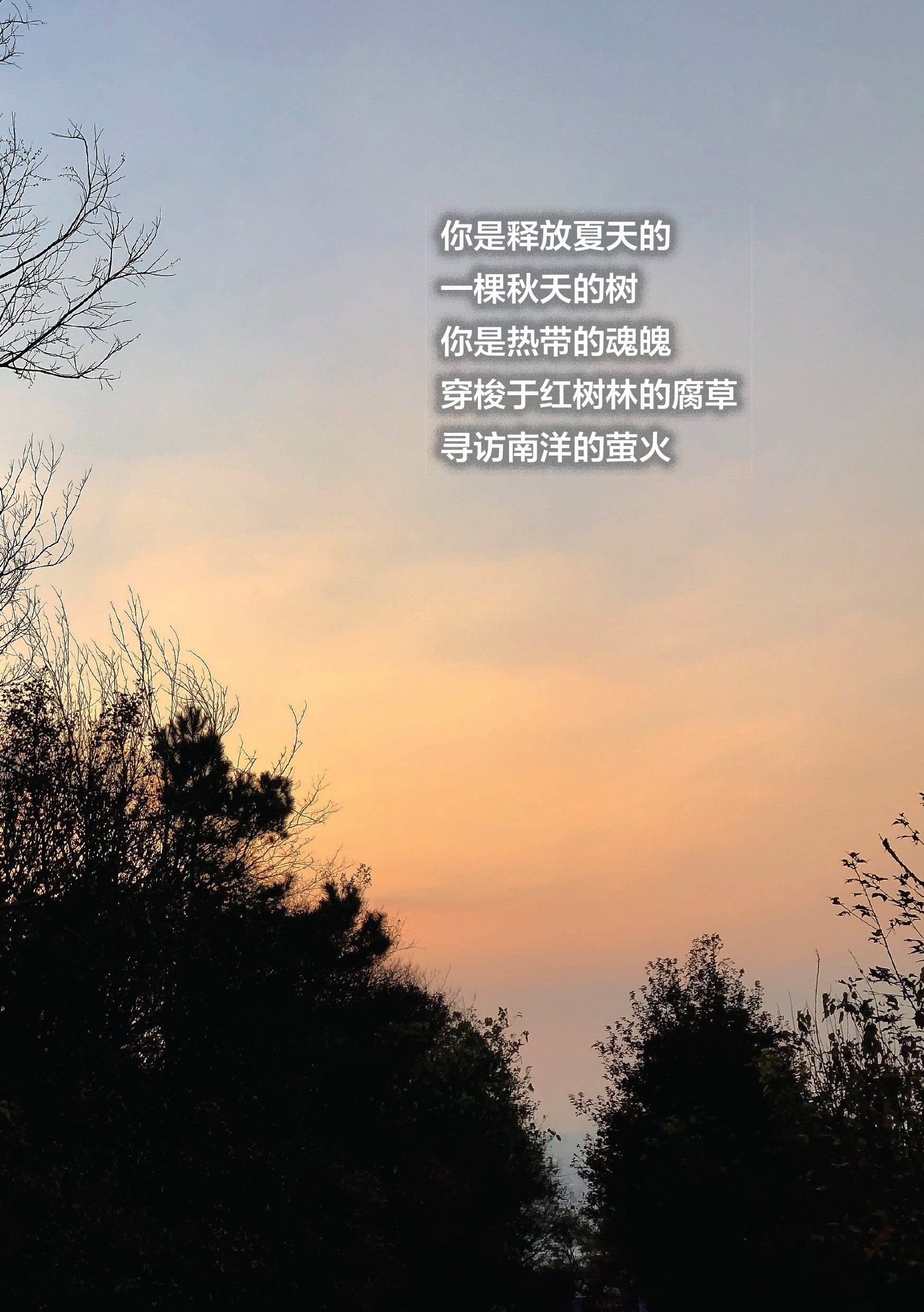 《如果还有萤火虫》