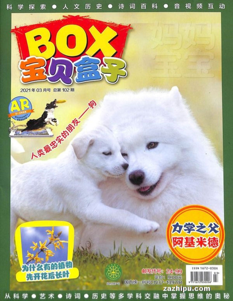 Treasure BOX 宝贝盒子 2021 (Back Issue #4)