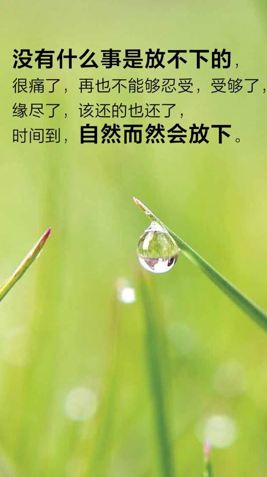 《路》 - 卓顺发与您分享