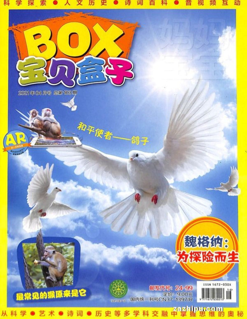 Treasure BOX 宝贝盒子 2021 (Back Issue #5)