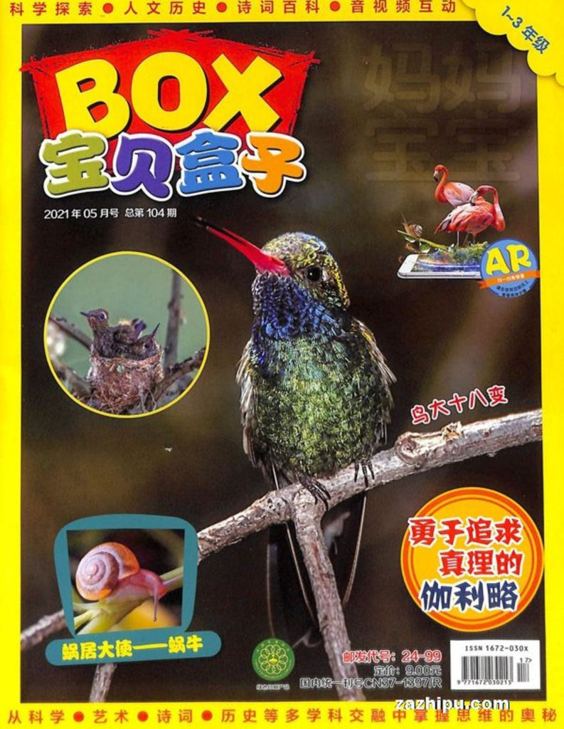 Treasure BOX 宝贝盒子 2021 (Back Issue #6)