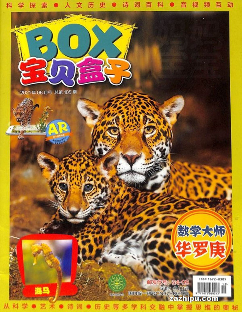 Treasure BOX 宝贝盒子 2021 (Back Issue #7)