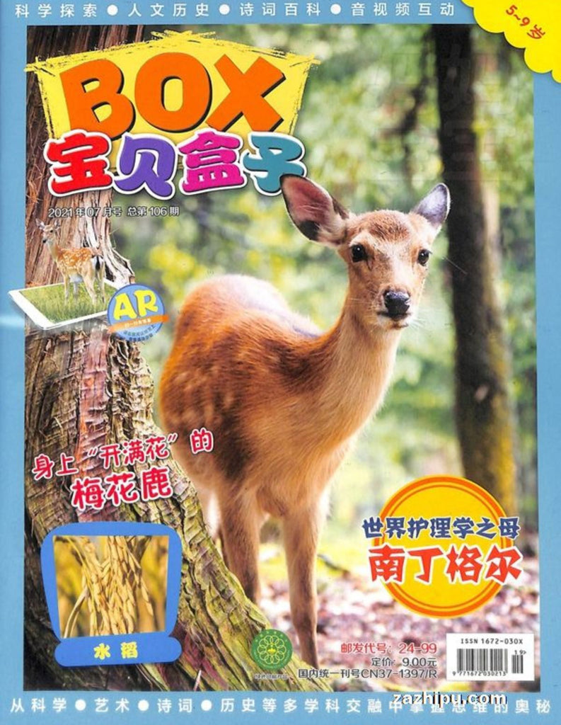 Treasure BOX 宝贝盒子 2021 (Back Issue #8)