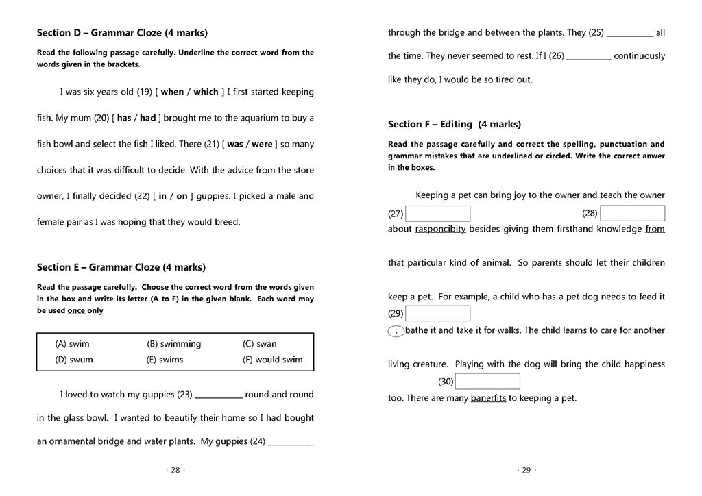 English Mock Exam Papers Primary 3