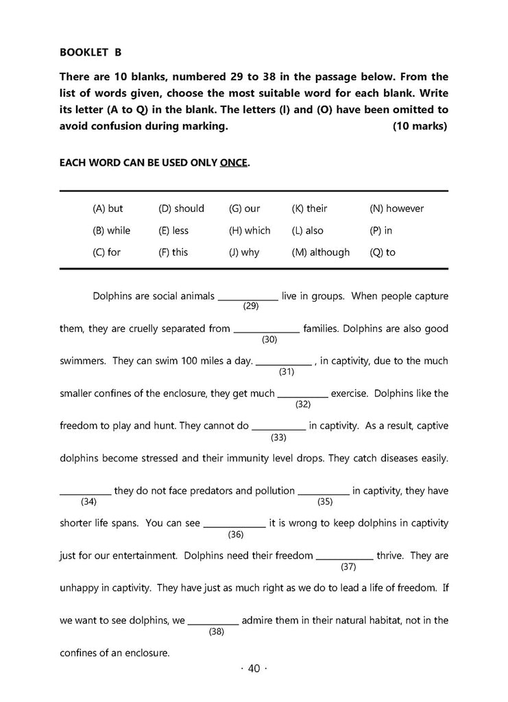 English Mock Exam Papers Primary 6