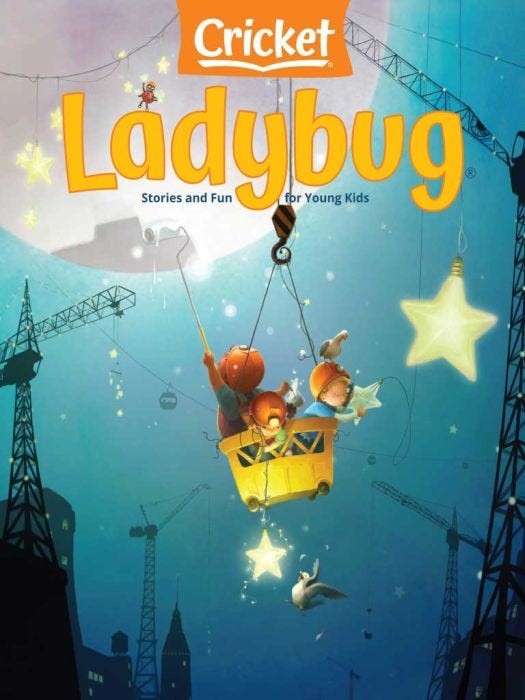 Ladybug 2022 (9 issues in 1 year)