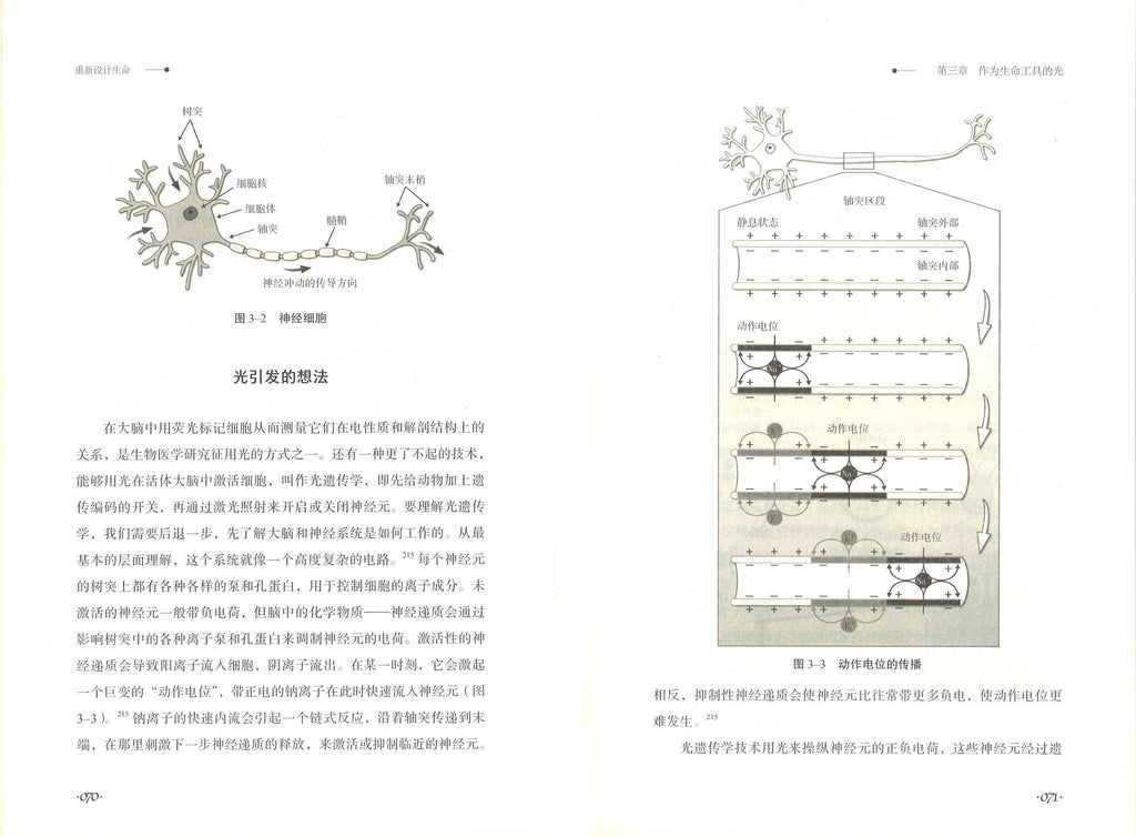 重新设计生命：基因组编辑技术如何改变世界